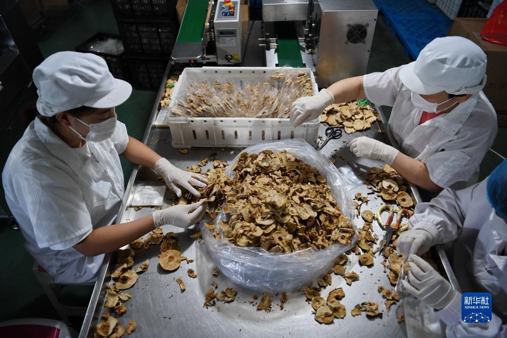 4至46倍狮子计算方法